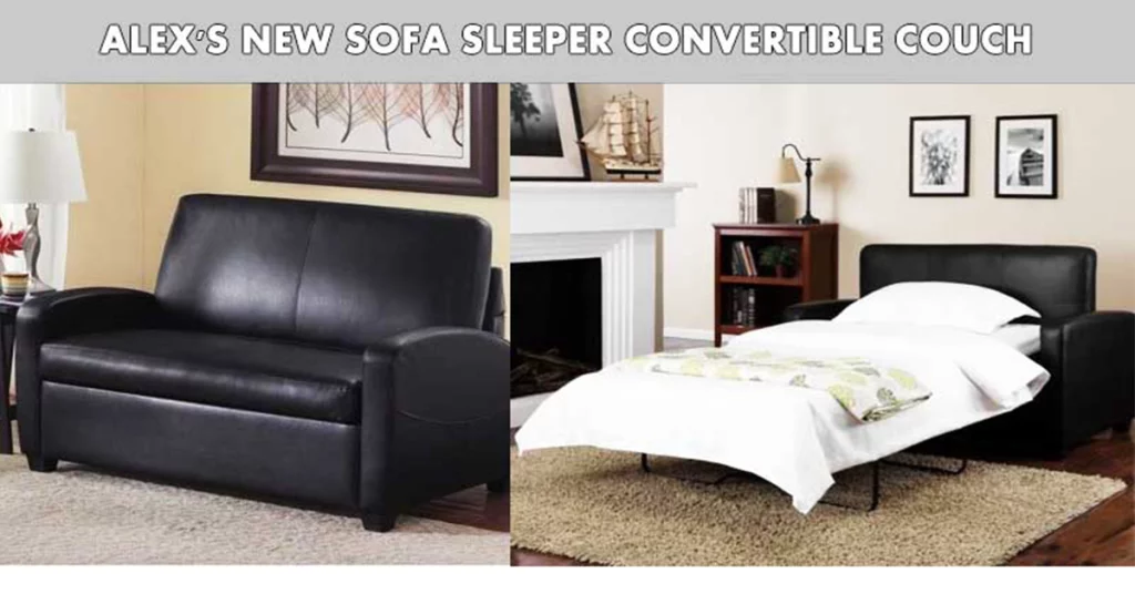 Alex’s New Sofa Sleeper Convertible Couch