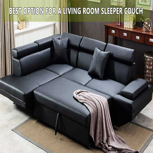 Bed Living Room couch