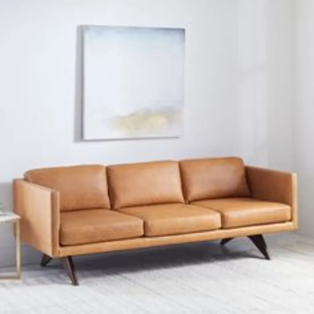 anline leather sofa