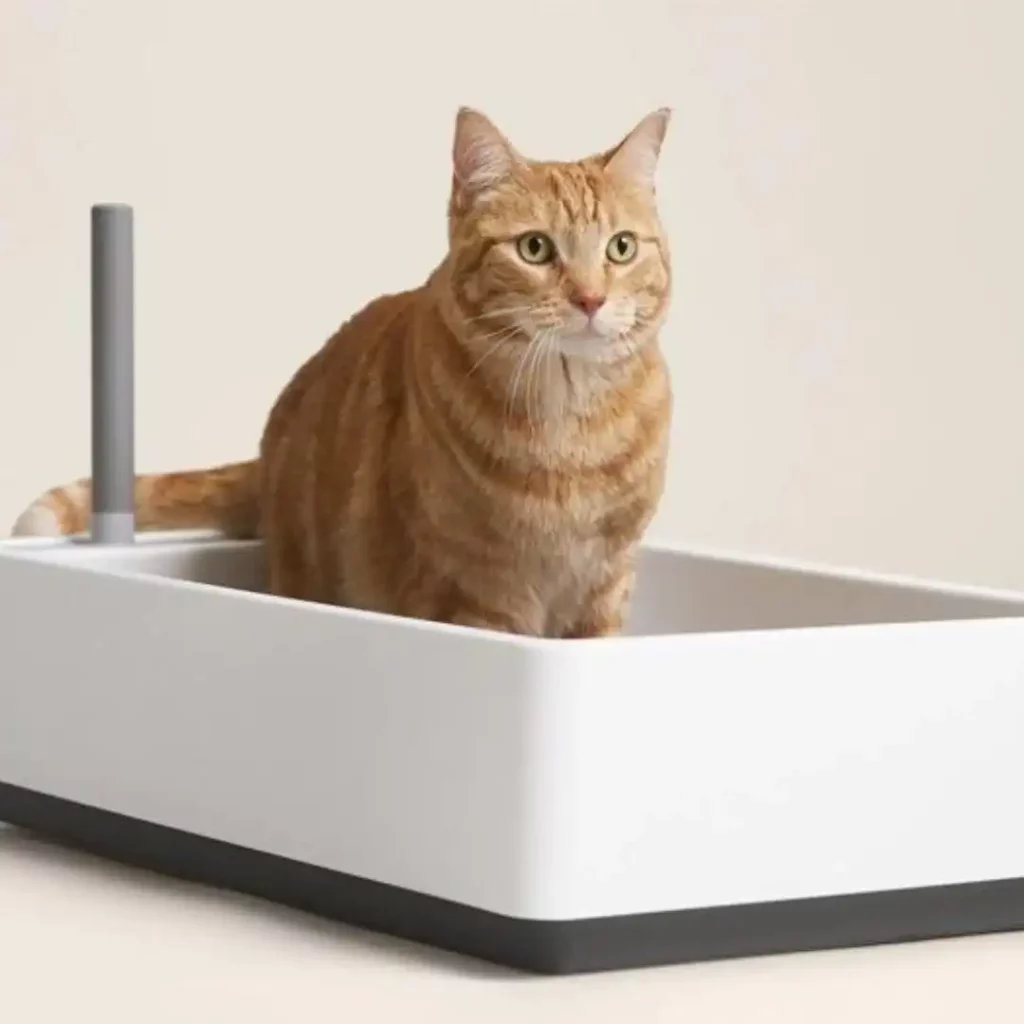Cat Litter Box cat litter box