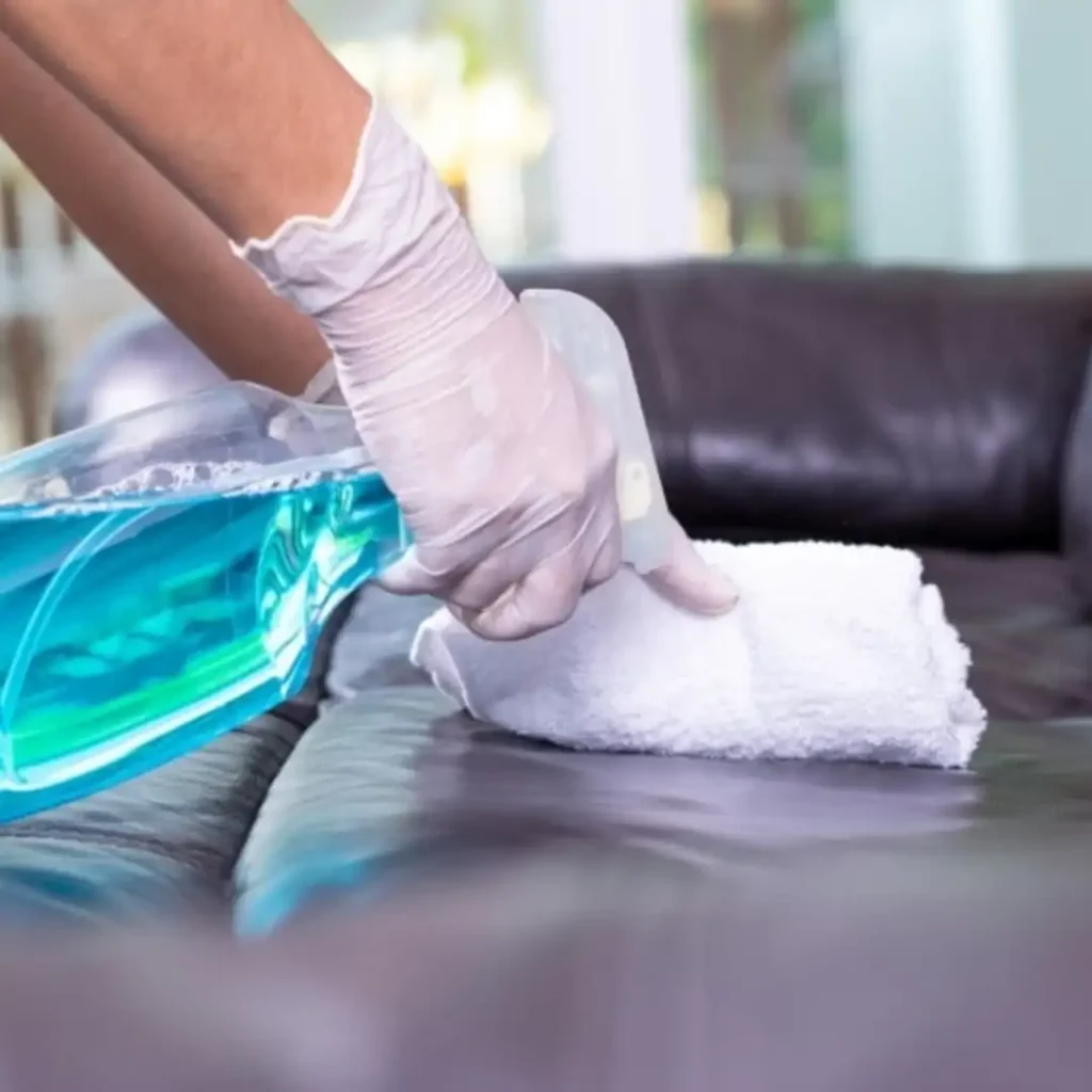 cleaning vomit from couch