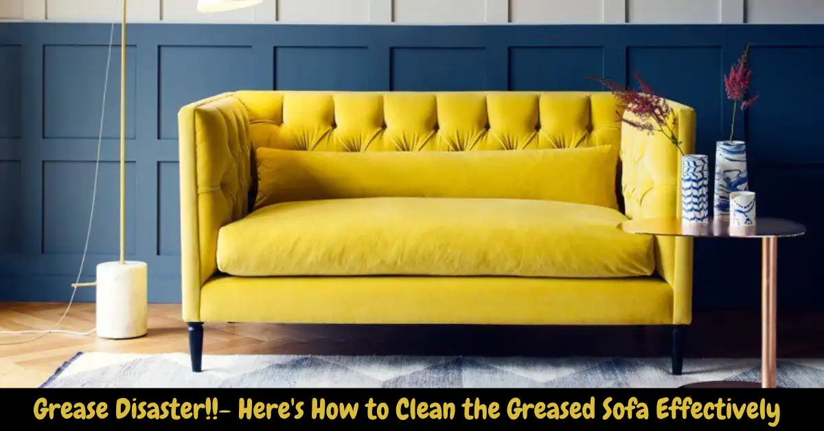 how to get grease out of a sofa