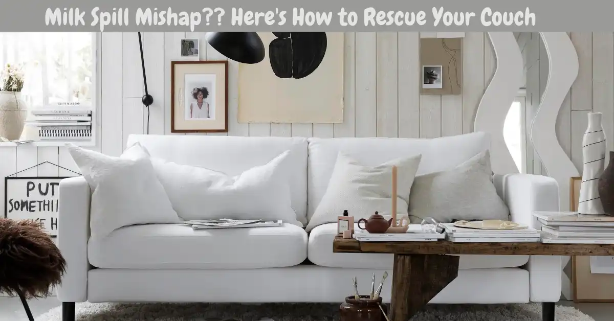 how to get milk out of a sofa