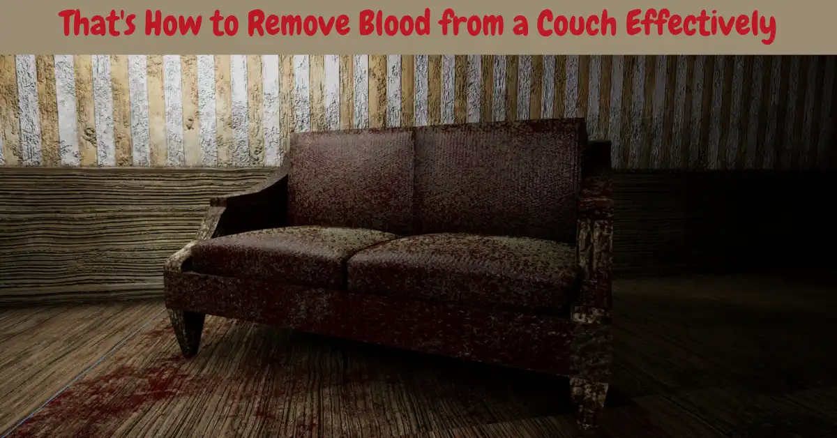 how to remove blood from a couch