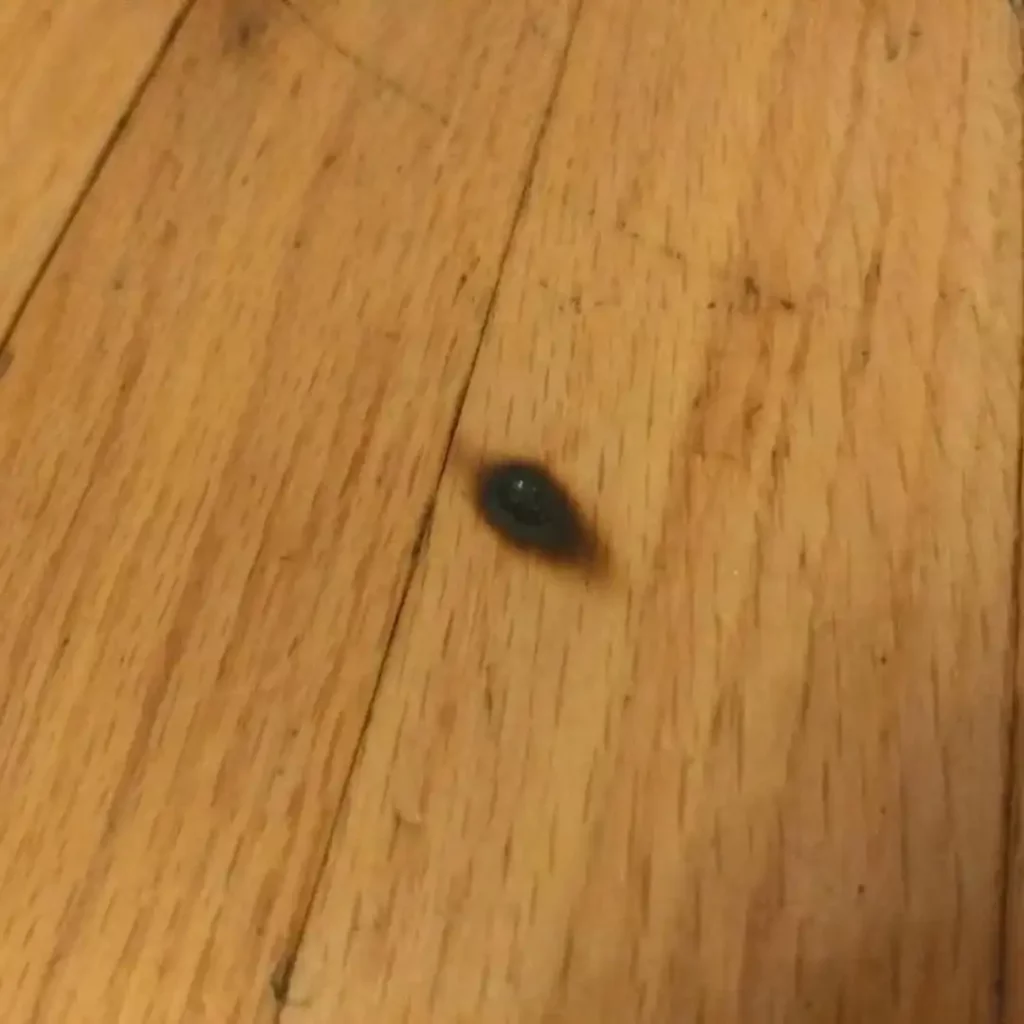 burn mark on wood