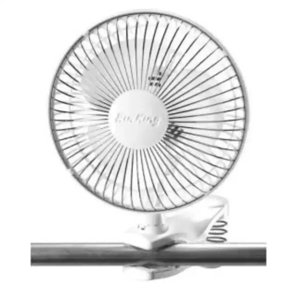 fan