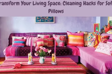 how to clean sofa pillows