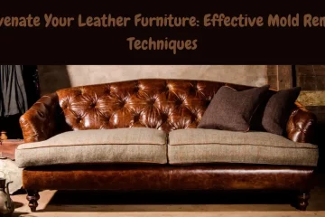 how to remove mold from leather furniture