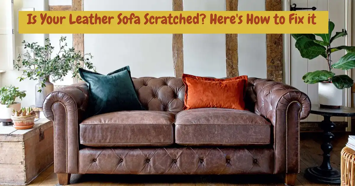 how to remove scratches from a leather sofa