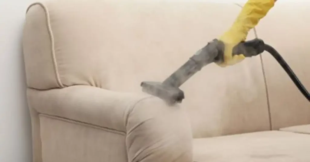 steam cleaning a sofa to remove water stains