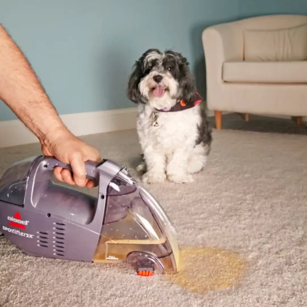 using steam iron on the carpet