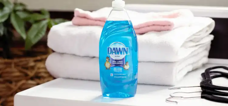 dish soap