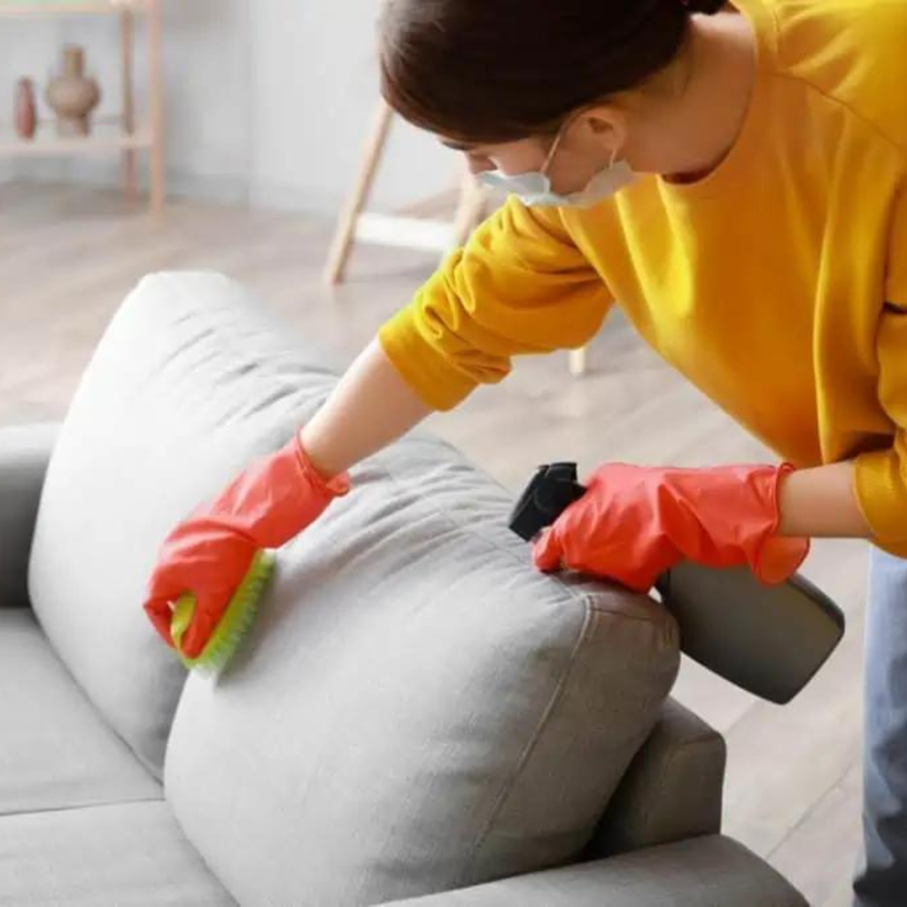 cleaning couch to prevent mouse infestation