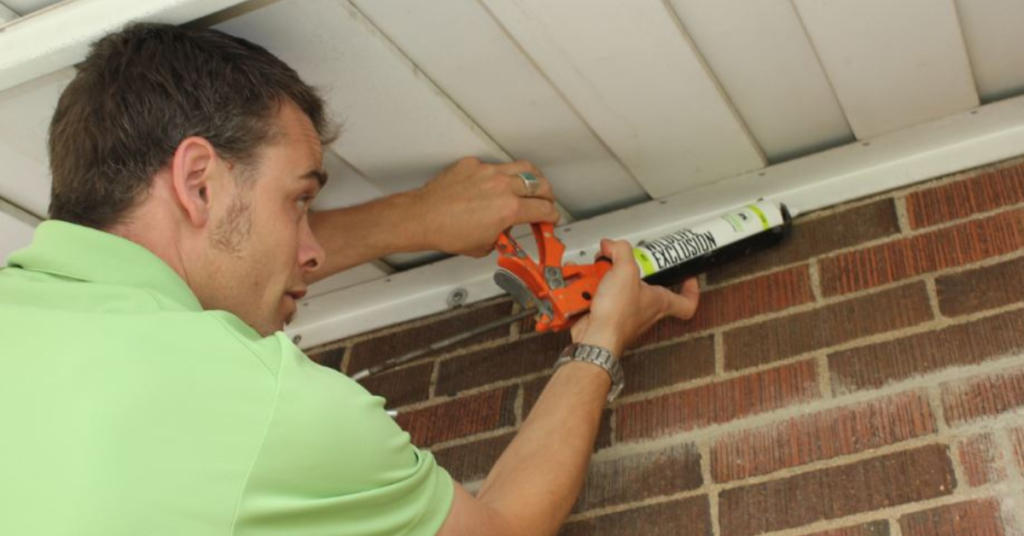 sealing the cracks to prevent mouse infestation