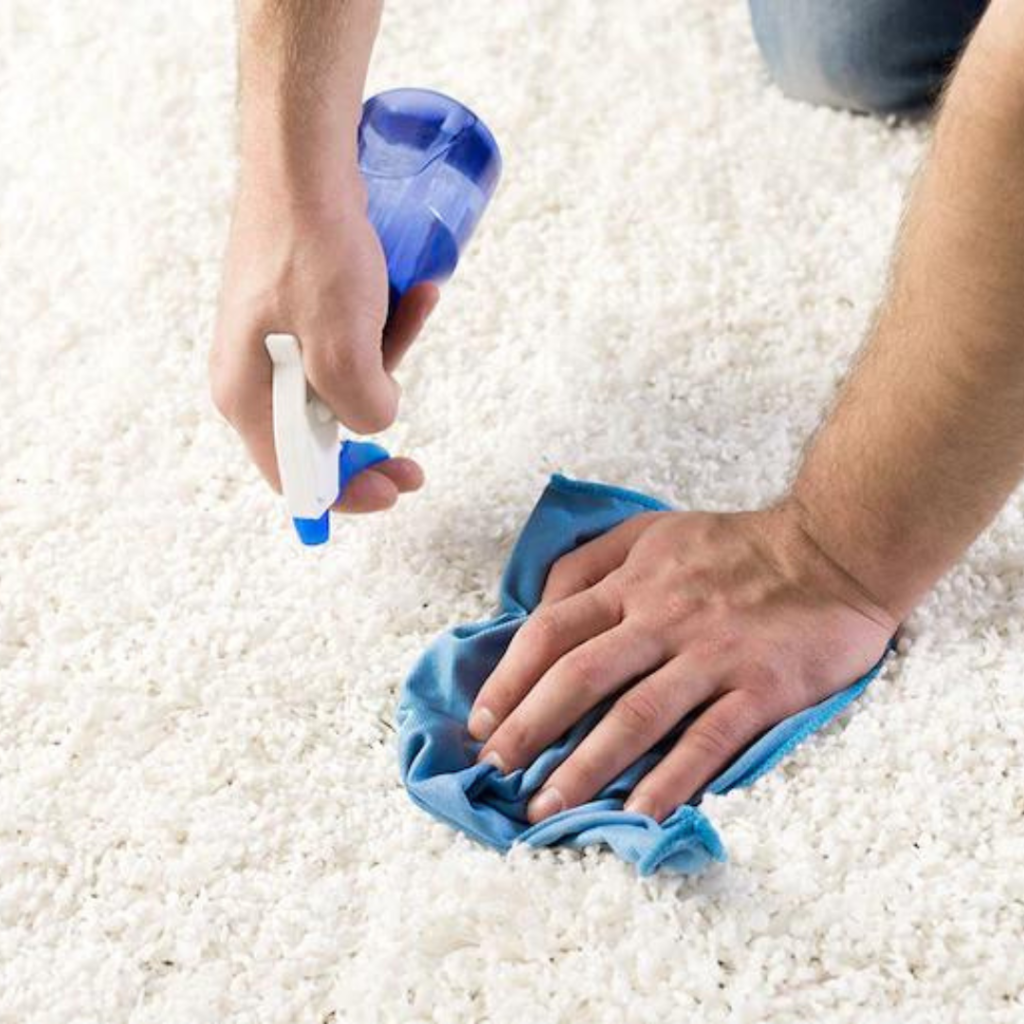 spraying and blotting a carpet